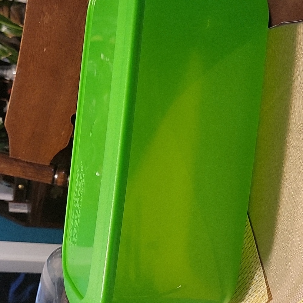 Debbie Meyer, Green Box